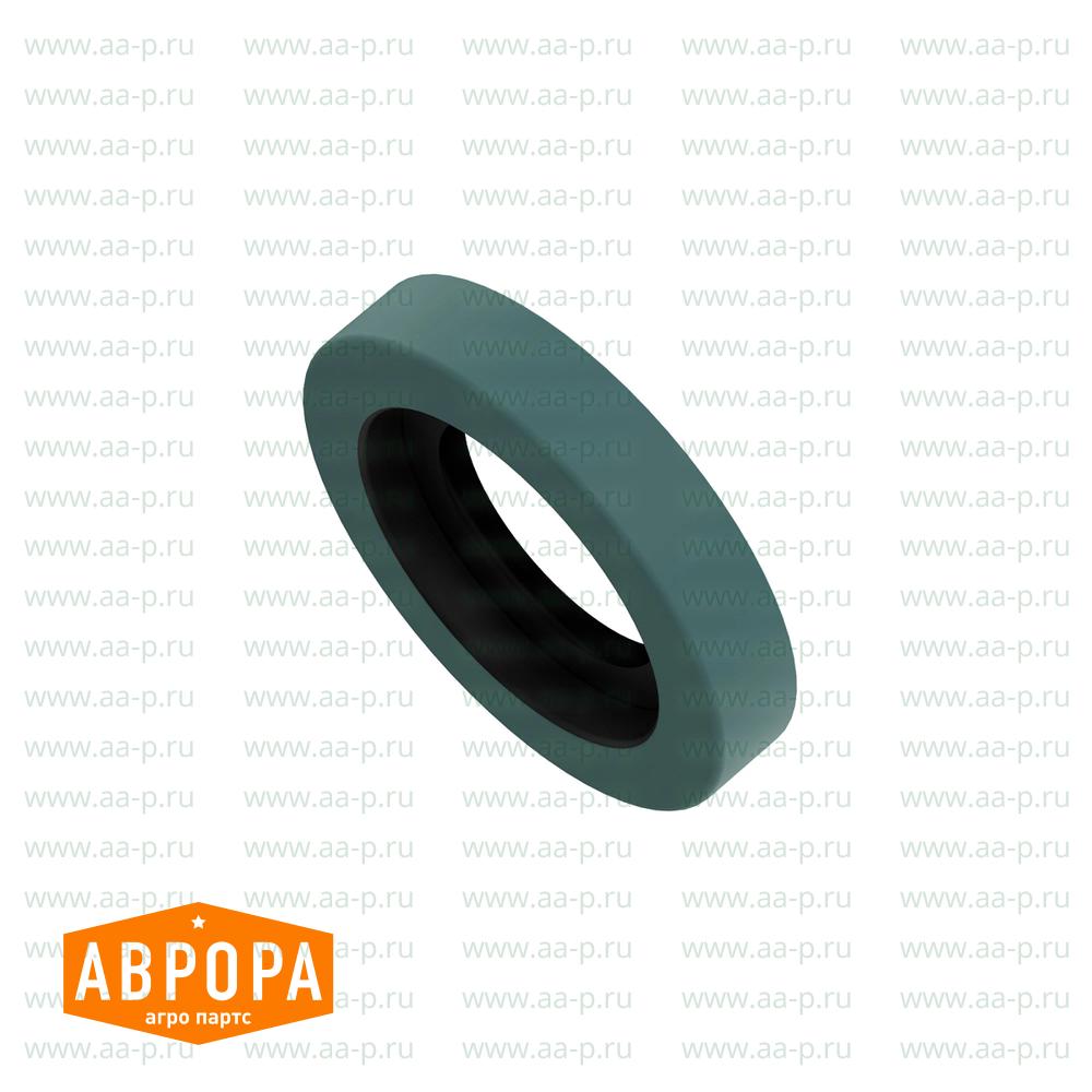 CH10960 САЛЬНИК